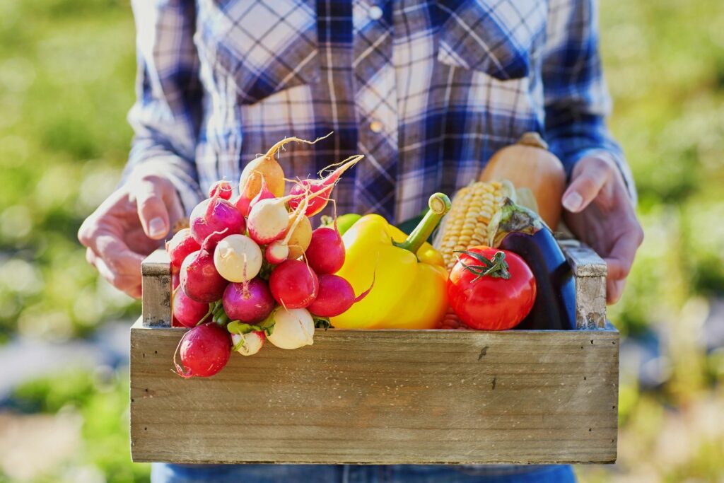 Garden Vegetables - Health Diet