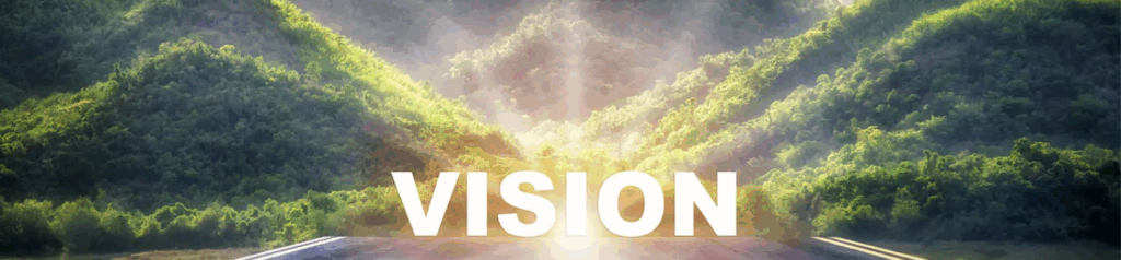 Vision