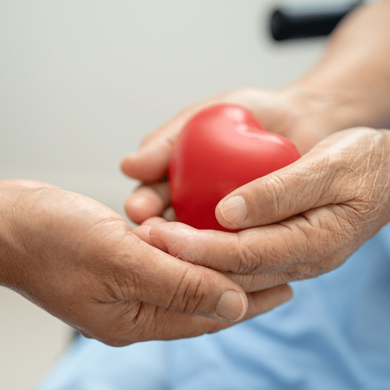 Heart & Vascular Screenings Now Offered Monthly at WAH