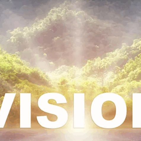 Vision