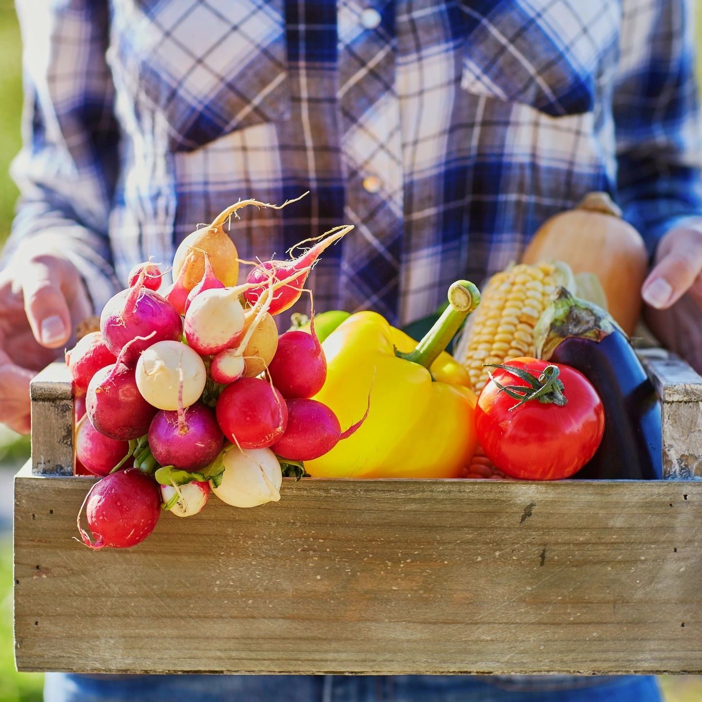 Garden Vegetables - Health Diet